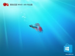 <font color='#990000'>���ѻ�԰v2026.04����win8.1 64λ���ʰ�</font>